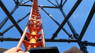 Tigris[4k] Busch Gardens 💥 May 2024 #short #shorts #viral #tampa #florida