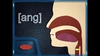Learn Chinese Pinyin Pronunciation: How to Pronounce all sounds in Mandarin Chinese