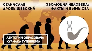 Станислав Дробышевский - Эволюция человека: факты и вымысел