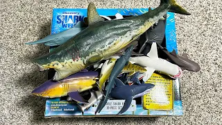 Shark Week Box - Great White Shark, Frilled Shark, Goblin Shark, Hammerhead Shark, Shark Ray