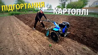 ПІДГОРТАННЯ КАРТОПЛІ МОТОБЛОКОМ КЕНТАВР 6лс / ОКУЧИВАНИЕ КАРТОФЕЛЯ МОТОБЛОКОМ КЕНТАВР/ВАНЬОК