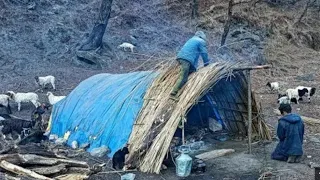 Himalayan Sheep Shepherd life in winter| Food Cooking & Eating| Peaceful Himalayan Sherpa lifestyle