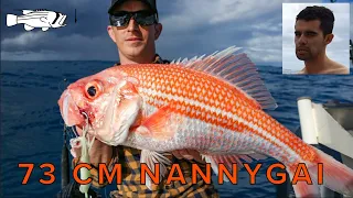 EP11F - 73CM Nannygai (Bight Redfish) in deeper water