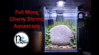 Full Moon Cherry Shrimp Aquascape #aquarium #aquascape #aquascaping #freshwater #plantedaquarium