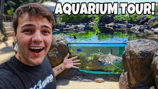 I Traveled 4,840 Miles to See This AQUARIUM!! (INSANE)