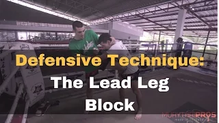 Muay Thai Techniques - The Lead Leg Block