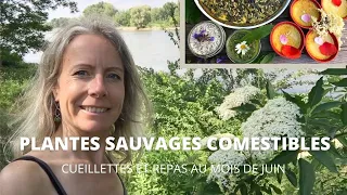 Plantes sauvages comestibles - cueillettes et repas au mois de juin