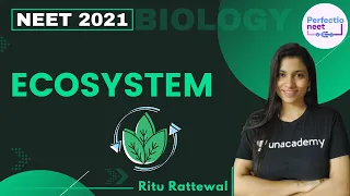 Ecosystem | NEET Biology | NEET 2021 | Ritu Rattewal