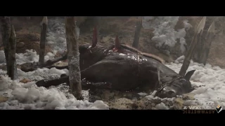 Viking Kill the Horse - Vfx Breakdown by Asymmetric VFX