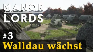 #3: Walldau wächst ✦ Let's Play Manor Lords (Preview / Gameplay / Early Access)