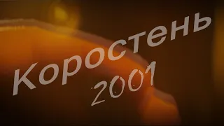 Взгляд в прошлое г. Коростень - 2001 г.