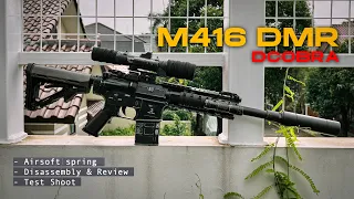 REVIEW DCOBRA M416 UPGRADE DMR