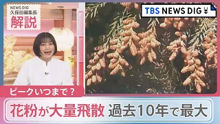 「過去10年で最大レベル」花粉が大量飛散  子どもの花粉症も増加　気になるピークと注意点は？【news23】｜TBS NEWS DIG