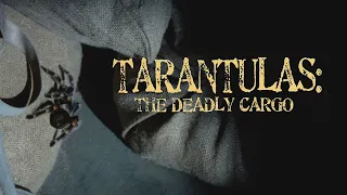 Tarantulas: The Deadly Cargo | High-Def Digest