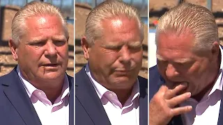 Ontario Premier Doug Ford swallows bee during press conference, makes jokes afterwards