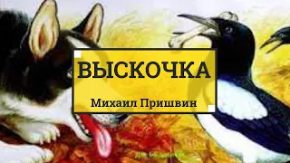 Выскочка. Рассказ, Аудиокнига. Михаил Пришвин