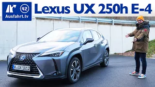 2020 Lexus UX 250h Luxury Line E-FOUR (ZA1) - Kaufberatung, Test deutsch, Review, Fahrbericht