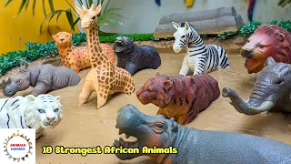 10 Strongest African Animals Muddy Adventure | Fun Learning with Ryan & Zayan 🐘🦁🦓🐯🦒🦛
