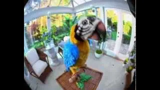 Интерактивный попугай FurReal Friends