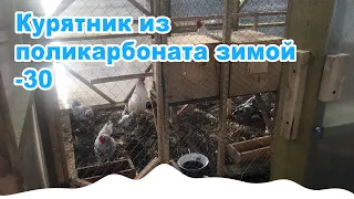 Курятник из поликарбоната зимой  -30