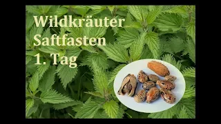 Tag 1: Brennesselsaft Fasten & Rizinusöl - effektive Entgiftung