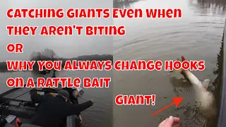 Catching Giants - Even When They Aren't Biting or Why You Change Rattle Bait Hooks