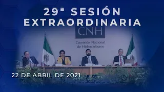 29ª Sesión Extraordinaria del Órgano de Gobierno (22 abril 2021)