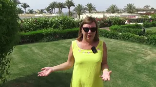 Итоги нашего отдыха в отеле Grand Oasis 4* в Шарм-Эль-Шейхе, 2022