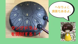 【タングドラム（tongue drum)】Ha-Drumのタングドラムを買いました～開封動画＆超初心者の演奏動画～