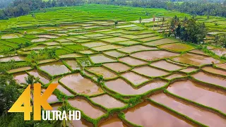 Fantastic Bali Aerial 4K Ultra HD - Island From Above - 2 HOUR Ambient Drone Film