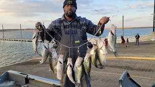 Crappie Fishing A Spring Coldfront