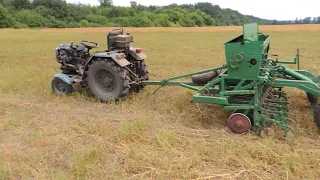 МОЙ ПЕРВЫЙ ГЕКТАР прямого посева.Гречка.20.07.2021.No-till с ноля.