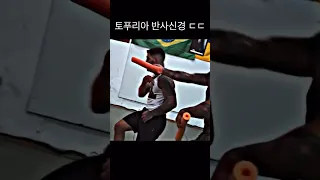 토푸리아 운동신경 수준