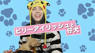 Billie Eilish Plays With Puppies While Answering Fan Questions [CC]