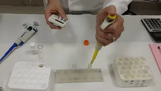 Assay for LDH enzyme activity using Human Kit