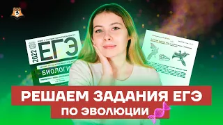 Решаем задания ЕГЭ по эволюции | Биология ЕГЭ 10 класс | Умскул