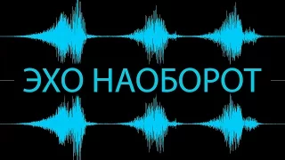 Как сделать эхо до слов | Сначала эхо, потом слова | Adobe Audition