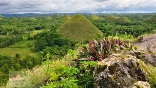 Tour Bohol Philippines - See the tourist attractions of Bohol