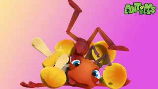 Antidote | 🐛 Antiks & Insectibles 🐜 | Funny Cartoons for Kids | Moonbug