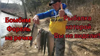 Рыбалка в США по форели | Trout fishing