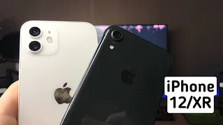 iPhone 12 VS XR!