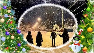 Новогодняя прогулка в пригороде Питера, 1.01.24. New Year's walk in the suburbs of St. Petersburg.