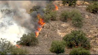 Vehicle Crash Sparks 50+ Acre Brush Fire | San Ysabel