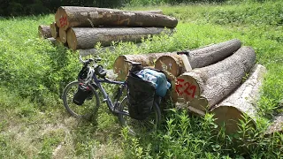 Mit dem Fahrrad auf dem Isarradweg | Bikepacking Vlog