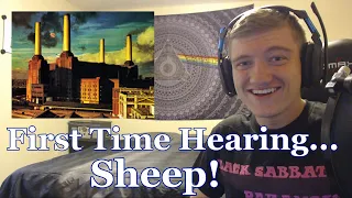 College Student's FIRST TIME Hearing | Sheep | Pink Floyd Reaction | Animals Full Album Reaction