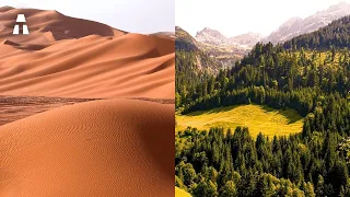 Jak Chiny zmieniły pustynię w zielony las