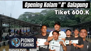 Grand opening galapung Pionir Fishing Gunung putri Bogor Tiket 600K