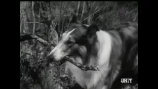 Lassie - Episode #385 - "Honor Bright" - Season 11, Ep.33 - 05/16/1965