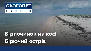 День на острове Бирючий: нетронутая природа, дикие животные и чистое море