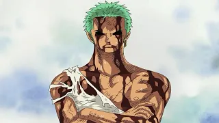 Zoro se sacrifica por Luffy [One Piece]